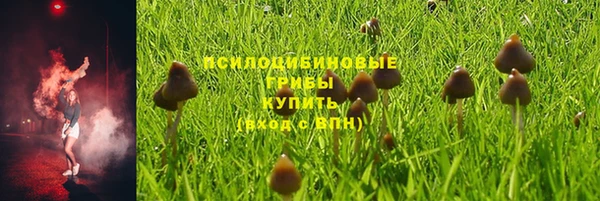 кокс Армянск
