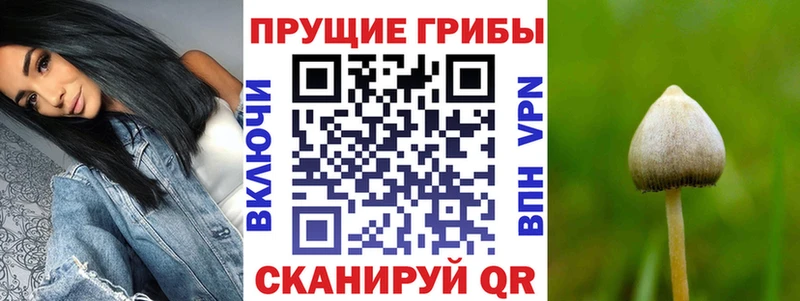 Псилоцибиновые грибы ЛСД  дарнет шоп  Георгиевск 