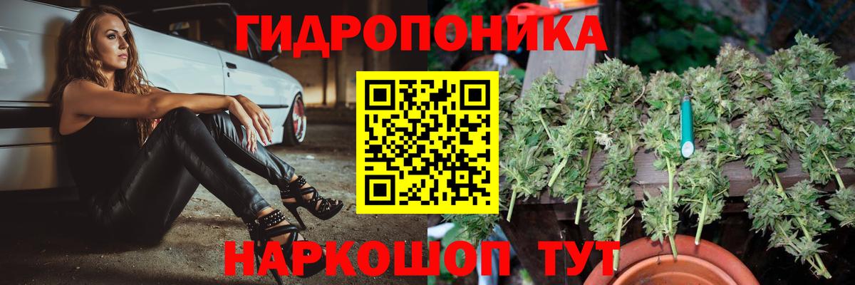 Канабис марихуана Георгиевск